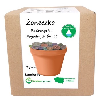 ŚWIĄTECZNY PREZENT DLA ŻONECZKI ŻYWE KAMIENIE