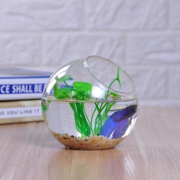 подвесная ваза с укрепляющими растениями