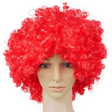 KOLOROWA PERUKA WŁOSY AFRO KARNAWAŁ PARTY FOTOBUDKA URODZINY