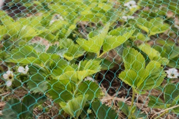 Защитная сетка для птиц, по размеру, 35 г, птица, УФ, широкая, 10 м, вольеры, куры