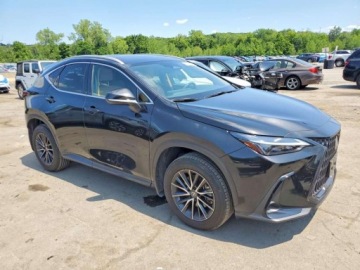 Lexus NX II 2025 Lexus NX 350 Premium 2025 2.4 Benzyna 275KM, zdjęcie 4