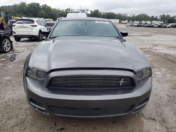 Ford Mustang VI 2014 Ford Mustang 2014 3.7l 3.7 Benzyna 305KM, zdjęcie 5