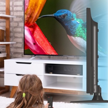 19-дюймовый телевизор Manta 19LHN123D DVB-T2/HEVC 12 В