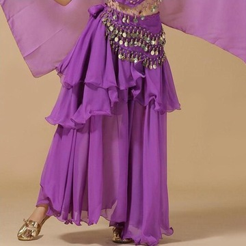 Belly Dance Skirt Dress Costumes with