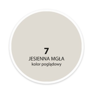 ДЕКОРАЛЬНАЯ КРАСКА POWER OF COLOR AUTUMN MIST 5л