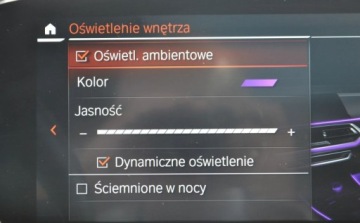 BMW X7 SUV M 4.0 M50i 530KM 2021 BMW X7 M50i xDrive M Sport Night Vision Dealer BMW Bonkowscy Gorzow Wlkp., zdjęcie 37