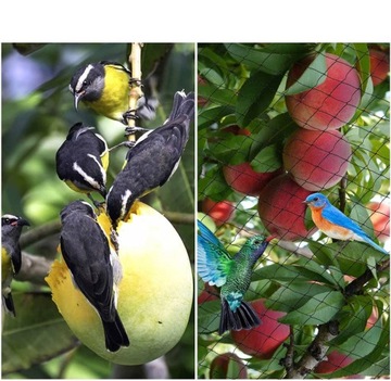 15x15м ЗАЩИТНАЯ СЕТЬ ОТ ПТИЦ ДЛЯ ВИШНИ