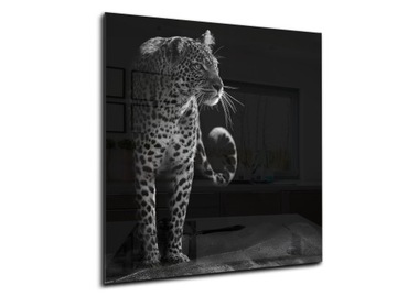 panel szklany między meble dekor 50x55 tygrys