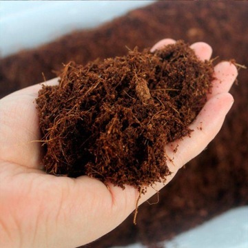 TORF KOKOSOWY 5L Podłoże do Terrarium Ściółka dla Pająka, Żółwia