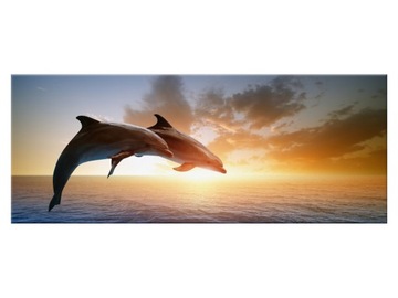 Картина Дельфины 100х40 Море 1358А_1И для гостиной