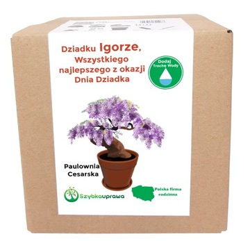 Zestaw BONSAI paulownia Dzień Dziadka Igor