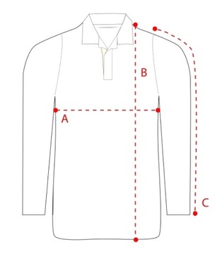 HOLLISTER Abercrombie T-Shirt Longsleeve Bluzka S