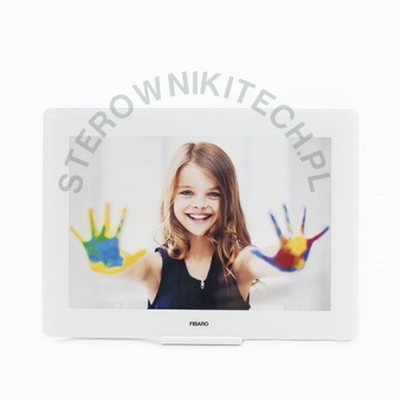 Контроллер жестов смахивания FGGC-001