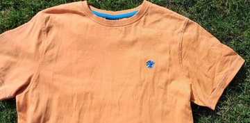 T-shirt Next cotton orange r. S/36 , BDB