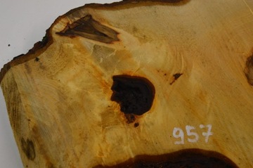 Разделочная доска для подноса ломтик каштана 56х42гр5см