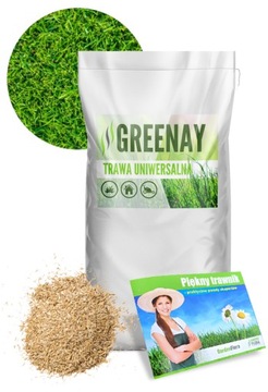 TRAWA SZYBKO ZAGESZCZAJĄCA NASIONA TRAWY UNIWERSALNA ODPORNA GREENAY 25KG
