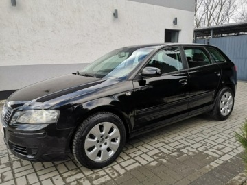 Audi A3 8P Hatchback 3d 1.9 TDI 105KM 2005 Audi A3 Sportback 1.9 TDI 105KM Klimatronik, zdjęcie 9