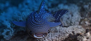 Eugy Китовая акула Эко 3D-пазл