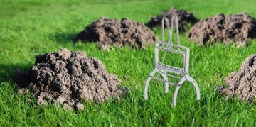 ЛОВУШКА ДЛЯ КРОТОВ ЛОВУШКА ДЛЯ КРОТОВ