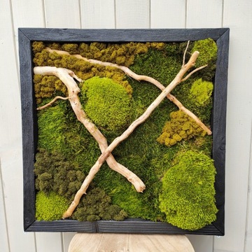 КАРТИНА СО МХОМ 50см ПРЕМИУМ яркая деревянная рамка лес в картине украшение МОХ