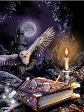 Haft Diamentowy HARRY POTTER Mozaika 5D SOWA AM13