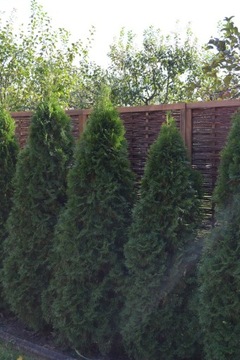 САЛЕРНО плетеная панель, ограждение, плетеный забор - размер 80 х 130 см