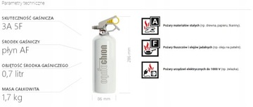 ДОМАШНИЙ КУХОННЫЙ ОГНЕТУШИТЕЛЬ 1 кг AF ЖИДКОСТЬ ОГНЕЗАЩИТА