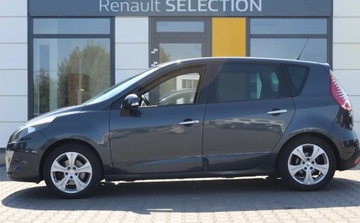 Renault Scenic III Van 1.4 TCe 16v 130KM 2010 Renault Scenic Bogata wersja, LPG, Zadbany, Na..., zdjęcie 2