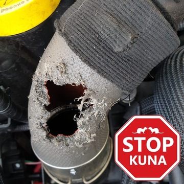 ОТПУГАТЕЛЬ МУЖСКОЙ ЭФФЕКТИВНАЯ И НАДЕЖНАЯ ПОДГОТОВКА ДЛЯ КАПОТА БЫСТРАЯ И ЛЕГКАЯ УСТАНОВКА