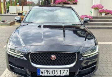 Jaguar XE Sedan 2.0 i4 163KM 2016 Jaguar XE JAGUAR XE 2.0D ALU LED NAVI XENON KAMERA BEZWYPADEK 2.0 Diesel, zdjęcie 1