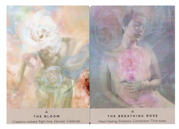 Карты Таро Оракула Розы, Оракула Розы Ребекка Кэмпбелл, Духовные карты