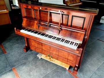 Фортепиано C. Bechstein из палисандра
