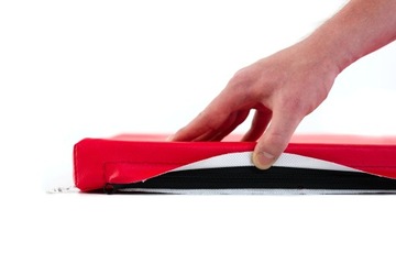 МАТРАС ТАТАМИ СПОРТИВНЫЙ КОВРИК ПВХ 200х100х4см R200