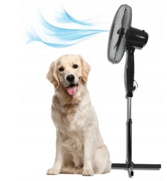 БОЛЬШОЙ НАПОЛЬНЫЙ ВЕНТИЛЯТОР, ВЕНТИЛЯТОР С ДИСТАНЦИОННЫМ КОЛЕНИРОВАНИЕМ