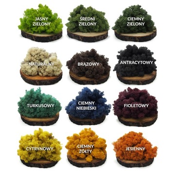 Крабовый мох Светло-Зеленый 500г