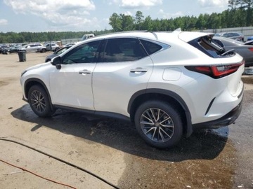 Lexus NX II 2024 Lexus NX Lexus NX 350 2.4 Benzyna 275KM, zdjęcie 2