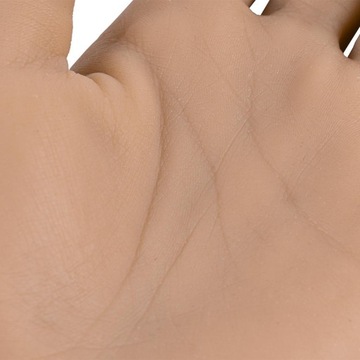 Акриловая рука для упражнений