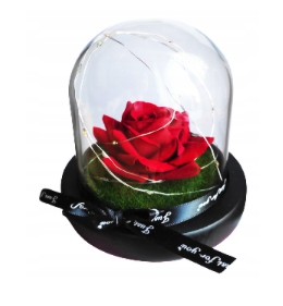 Вечная роза Светодиодный купольный декоративный цветочный ящик