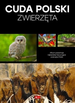 CUDA POLSKI ZWIERZĘTA