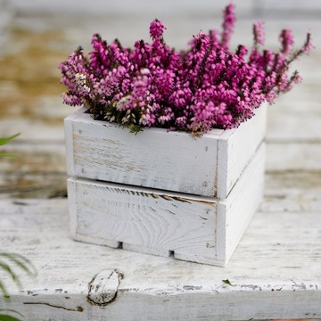 Белая цветочная коробка, деревянный цветочный горшок с крышкой из вереска.