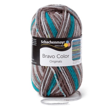 Włóczka Schachenmayr Bravo Color 2109