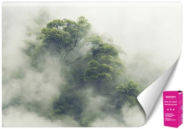 Tapeta Flizelinowa Zielony Natura Drzewa do Pokoju