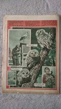 Друг 42 1959 г.