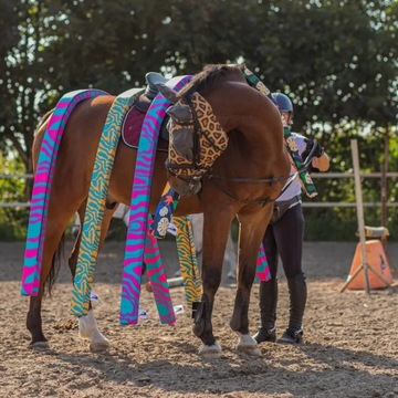 HorseMania - шесты для препятствий для лошадей 3,3мх5
