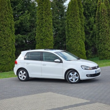 Volkswagen Golf VI Hatchback 5d 1.6 TDI-CR DPF BlueMotion 105KM 2010 Volkswagen Golf VI 1.6 Diesel, zdjęcie 8