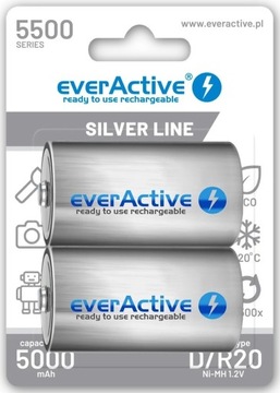 2x AKUMULATORKI BATERIE D R20 EverActive 5500mAh