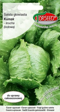 Sałata głowiasta krucha lodowa Kumak 0,5g nasiona
