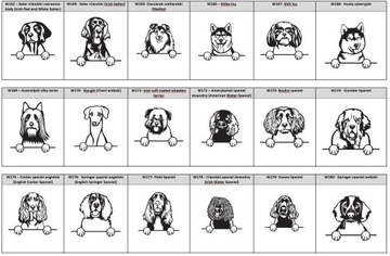 ИДЕНТИФИКАЦИОННАЯ СУМКА ДЛЯ СОБАК - ВСЕ ПОРОДЫ XL