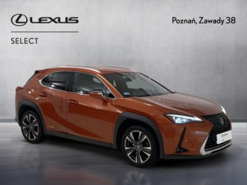 Lexus UX 2019 Lexus UX 250h Prestige 2WD Lexus UX 250h Prestige+, zdjęcie 7