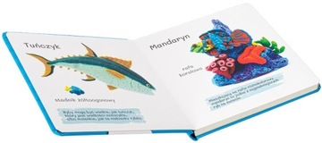 ЧТО СКРЫВАЕТ МОРЕ? КНИГА ПЛАСТИЦИНОВЫХ ИЛЛЮСТРАЦИЙ 1+